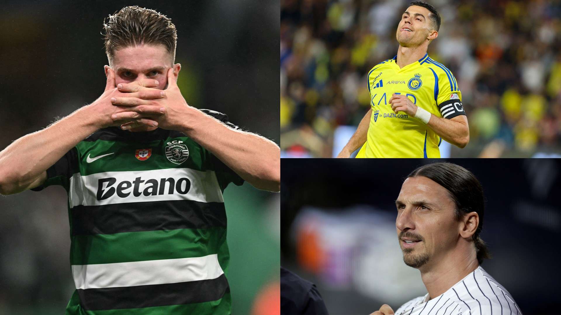 的不看好 的不看好