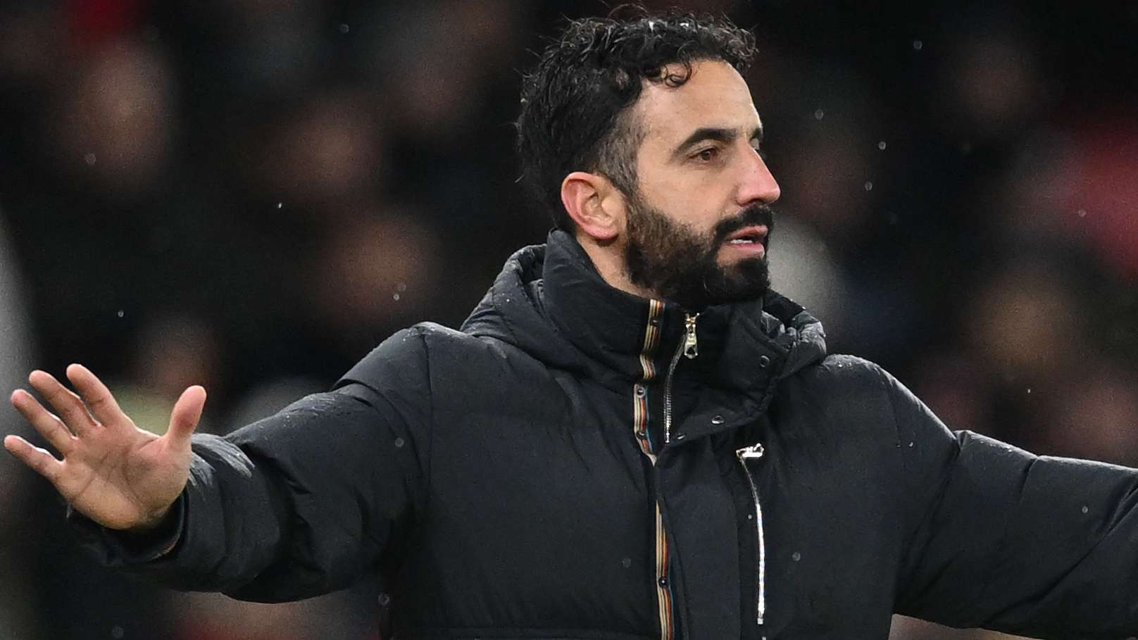 通过引进这 通过引进这